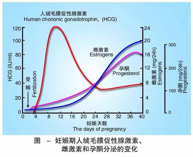 懷孕期間HCG低怎么辦？
